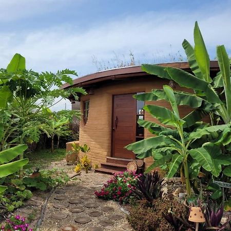 הוילה Pôrto de Pedras Eco Loft Maymuna: Seu Loft Ecologico Pertinho Da Praia מראה חיצוני תמונה