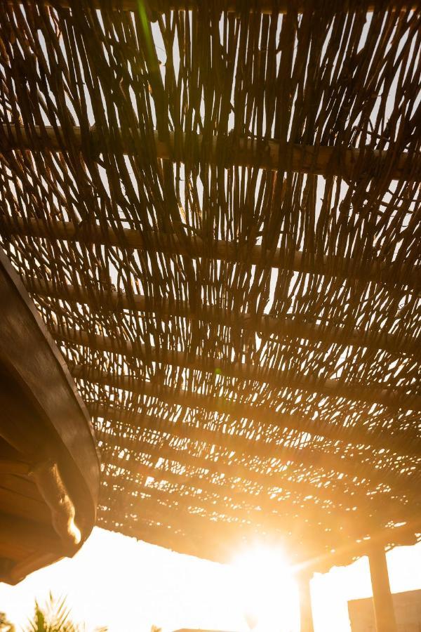 הוילה Pôrto de Pedras Eco Loft Maymuna: Seu Loft Ecologico Pertinho Da Praia מראה חיצוני תמונה